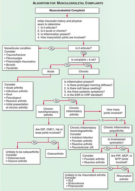 Musculoskeletal complaint algorithm Pathophysiology Nursing, Nerdy Nurse, Orthopedic Nursing, Np School, Nurse Practitioner School, Psych Nurse, Nursing Assessment, Nursing Process, Nurse Anesthetist