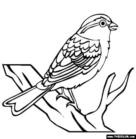 Chipping Sparrow Coloring Page | Free Chipping Sparrow Online Coloring Birds Coloring Pages, Birds Printable, Embroidery Hoop Wall Art, Bird Coloring Pages, Pokemon Coloring Pages, Pokemon Coloring, Online Coloring Pages, Bird Embroidery, Bird Tree