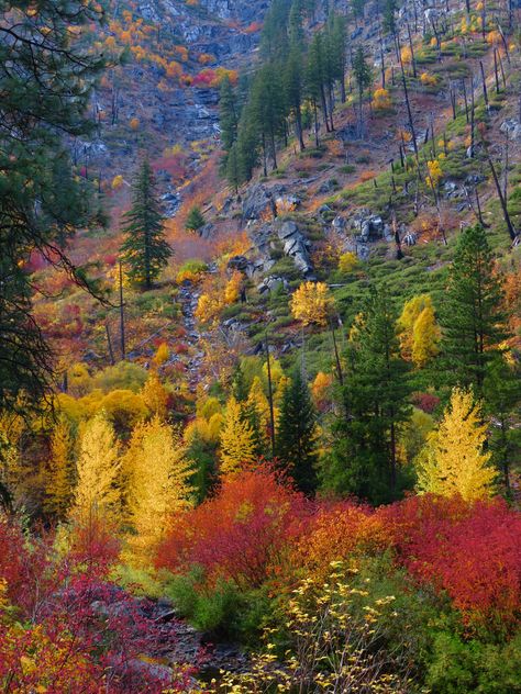 Tumwater Washington, Leavenworth Washington, Patriotic Images, State Posters, Sea To Shining Sea, Pacific Nw, Beautiful Photos Of Nature, Pacific Northwest, Travel Usa