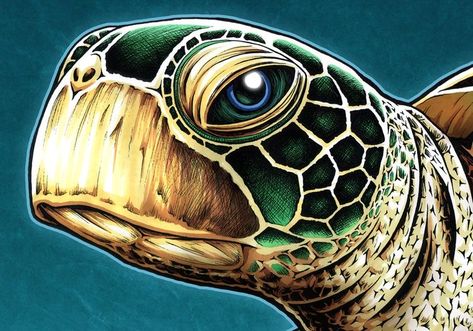 Turtle Painting Acrylic, Ocean Animal Art, Underwater Landscape, Sea Turtle Painting, Sea Creatures Art, Sea Turtle Print, Sea Turtle Art, Underwater Painting, Animal Art Print