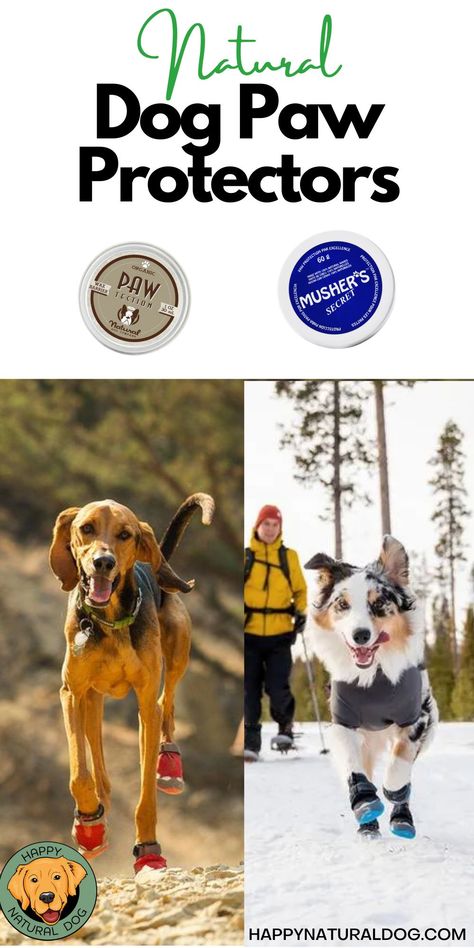 Are you wondering how to protect your dog's paws from snow, cold, road salt, hot pavement, or rough terrain? We have found the best dog boots and paw balms/waxes for the best dog paw protection in winter and summer. Learn what to look for in quality products, and how to be sure products are natural without harmful additives. If you like being outside with your dog you need to be sure you protect their paws from cold and heat. #dogpawprotection #dogbooties #dogpawbalm #dogboots #dogpawprotectors Dog Paw Protection, Dog Winter Boots, Dog Paw Balm, Paw Protector, Dog Booties, Paw Balm, Dog Boots, Dog Socks, Dog Safety