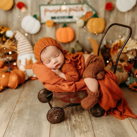 This 10-day-old baby boy visited our studio yesterday - and has now beautiful portraits😍😍 It’s beginning to smell a lot like pumpkin everywhere I go😍😍 Have you booked your newborn session yet? Halloween Newborn Pictures, Newborn Fall Photoshoot, Fall Newborn Photography, Newborn Photos Boy, Newborn Halloween, Everywhere I Go, Beautiful Portraits, Newborn Shoot, Creative Pictures