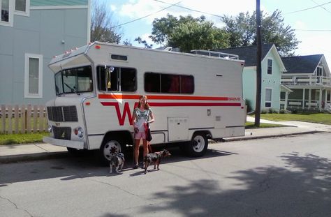 Winnebago Remodel, Winnebago Motorhome, Motorhome Life, Winnebago Brave, Trailers Vintage, Vintage Motorhome, Cool Rvs, Old Campers, Vintage Rv