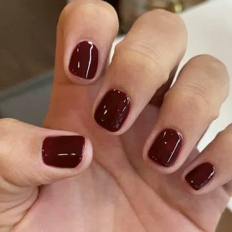 Mail Inspo Short, Red Nail Polish, Red Nail, Minimalist Nails, Dream Nails, Funky Nails, Makati, Nails Inspo, Nail Manicure