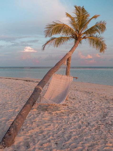 Vacation Asethic, Maldives Hammock, Beach Life Style, Hammock Beach, Maldives Vacation, Vacation Lifestyle, Architecture Unique, Island Lifestyle, Beach Hammock