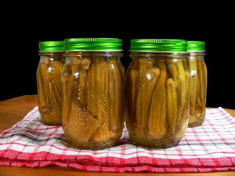 Southern Pickled Okra : Taste of Southern How To Pickle Okra, Pickle Okra, Pickled Okra Recipes, Canning Veggies, Freezing Recipes, Pickled Recipes, Okra Recipe, Pickle Recipes, Pickled Okra