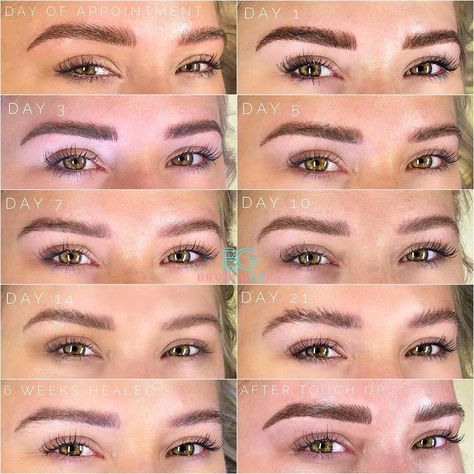 Microblading Healing Process (2021): Complete Day by Day Overview - PMUHub Microblading Healing Stages, Microblading Touch Up, Microblading Healing Process, Tattoo Healing Process, Eyebrow Before And After, Tattoo Healing, Sparse Eyebrows, The Healing Process, Permanent Makeup Eyebrows