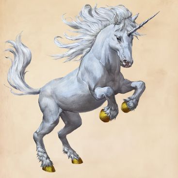 Unicorn | Harry Potter Wiki | FANDOM powered by Wikia Fantastic Beasts Creatures, Fantastic Beasts Book, Garrick Ollivander, Harry Potter Creatures, Fantasic Beasts, Unicorn Drawing, Beast Creature, Draw Animals, Fantasy Horses