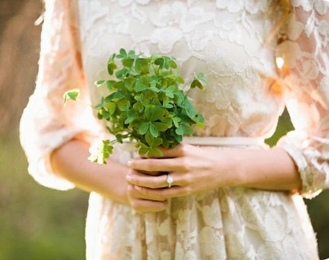 Shamrock bouquet (preferably mix in with sunflowers and hydrangeas?) Guiness Stew, Shamrock Bouquet, Shamrock Wedding, Wedding Planning Details, Shamrock Flower, Instead Of Flowers, Catholic Wedding, Lucky In Love, Irish Wedding