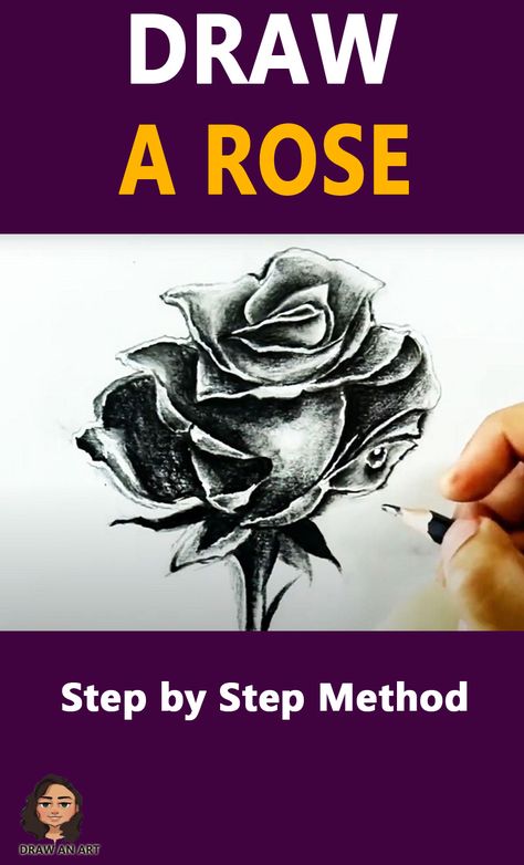 Draw a rose Drawing Of Roses Pencil, Rose Sketch Step By Step, Rose Study Drawing, How To Shade Roses Drawing, Realistic Rose Drawing Step By Step, Rose Step By Step, Faber Castell Pencil, Flower Step By Step, Realistic Rose