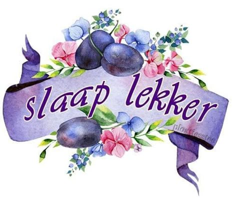 Lekker Slaap, Daily Message, Frog Pictures, Slaap Lekker, Good Night Blessings, Christian Pictures, Good Night Greetings, Night Wishes, Morning Greetings