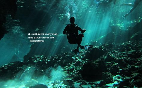 Scuba Diving Quotes, Diving Quotes, Funny Travel Quotes, Inspirational Travel Quotes, Travel Phrases, Travel Collage, Travel Words, Best Travel Quotes, Ocean Quotes