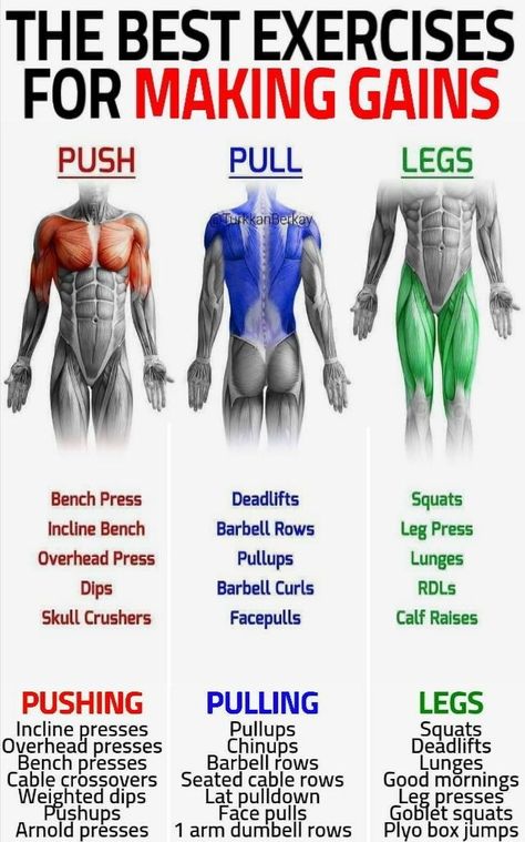 Push Pull Workout, Push Pull Legs, Full Body Workout Routine, Workout Splits, Gym Workout Chart, Weight Training Workouts, Trening Fitness, Body Workout Plan, Workout Chart