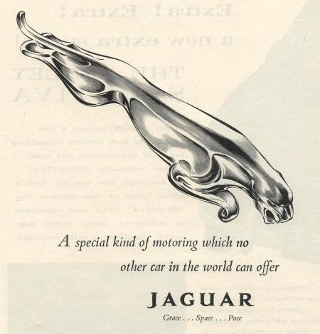 Jaguar Car Logo, Vintage Jaguar, Car Advertisement, Classic Life, Classic Jaguar, Jaguar Type, Jaguar Daimler, Jaguar Cars, Ad Car