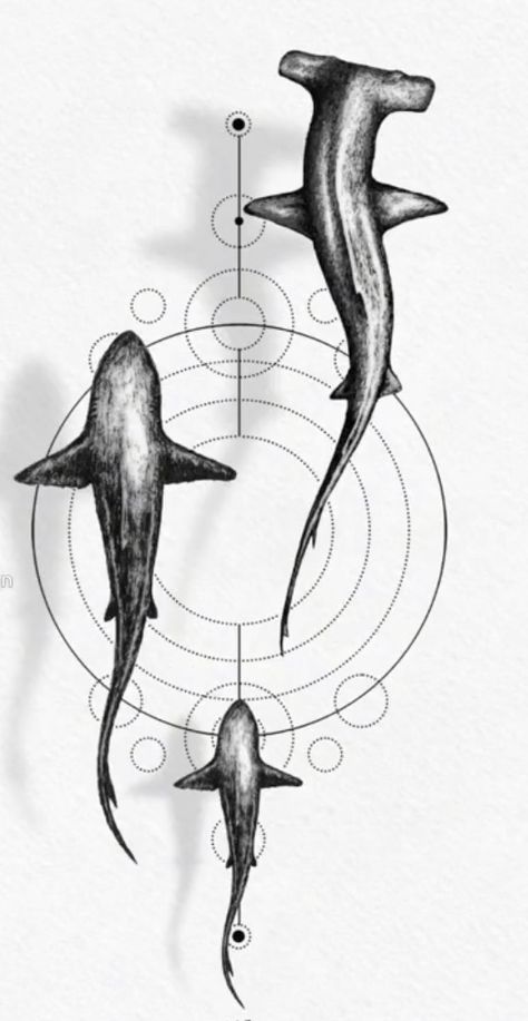 Shark Tattoo Design, Hai Tattoo, Underwater Tattoo, Hammerhead Shark Tattoo, Lion Art Tattoo, Tier Tattoo, Animal Tattoo Ideas, Shark Drawing, Sea Tattoo