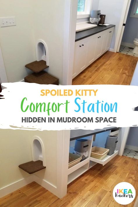 e decided to use the SEKTION cabinets, but instead of storage, they turned into a multi-cat comfort station (cat box haven). It's the perfect DIY littler box for cats. Spoiled kitty comfort station hidden in mudroom space - IKEA Hackers Multi Cat Litter Box Ideas Hidden Diy, Mudroom Cat Area, Custom Cat Litter Cabinet, Kitchen Cat Food Station, Diy Cat Grooming Station, Kitty Litter Storage Ideas, Cat Space In Laundry Room, Pet Cabinet Ideas, Cat Box Storage Ideas