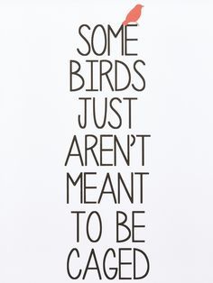 Free Like A Bird Quotes, Quotes On Wings, Bird Quotes Inspirational, Quotes About Birds Inspirational, Quotes On Birds, Free As A Bird Quotes, Caged Bird Art, Free Bird Quotes, Cage Quotes