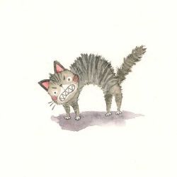 I'm big and scary by Adelaida Scared Dog, Cats Funny Cartoon, Cat Expressions, Cartoon Drawings Of People, Cartoon Drawings Of Animals, Scary Cat, Cute Cat Illustration, Scared Cat, Cat Art Illustration