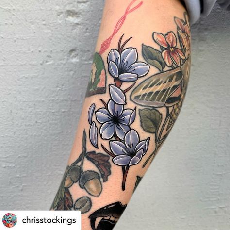 Tattoo Machine Drawing, Neo Trad Tattoo, Traditional Tattoo Flowers, Neotraditional Tattoo, Flower Tattoo Drawings, Tattoo Filler, Tattoo Background, Flower Tattoo Back, Flash Tattoo Designs