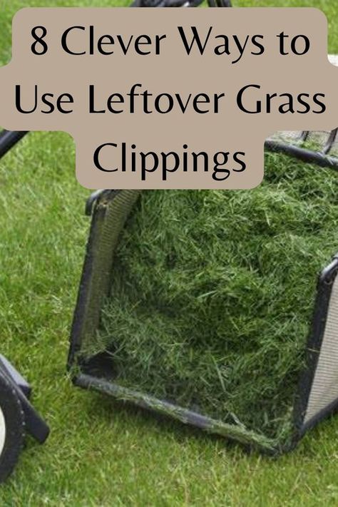 Don't throw away those leftover grass clippings! They can be used in a variety of clever ways around your yard and home. Check out these 8 ideas for how to put your grass clippings to good use. How To Fix Patchy Grass Lawn, Grass Clippings What To Do With, Grass Seed Tips How To Grow, Grass Edging Ideas, Grow Grass Fast, Backyard Grass Landscaping, How To Plant Grass, Edge Lawn, How To Remove Grass