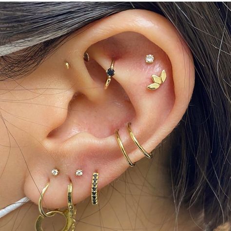 Sacred Gold’s Instagram photo: “We are in AWE of this fully healed full curation by our amazing piercer Gemma @gemstonepiercing 😍😍😍💛 All @bvla @bvlalove beauties, styled…” Ear Art, Cool Ear Piercings, Pretty Ear Piercings, Gold Tattoo, Cute Ear Piercings, Ear Style, Cute Piercings, Piercings Unique, Jewelry Tattoo