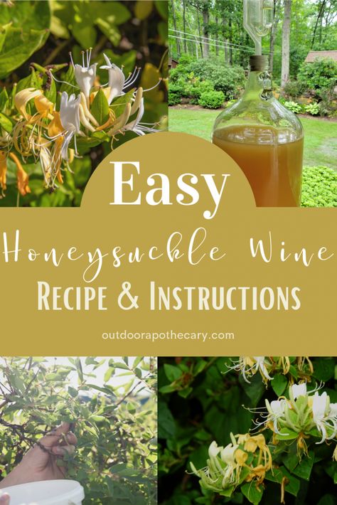 Wine Making Recipes, Homemade Wine Recipes, Mead Recipe, Wine Yeast, Brewing Recipes, Wine Recipe, Fermentation Recipes, Dry Wine, Vodka Recipes