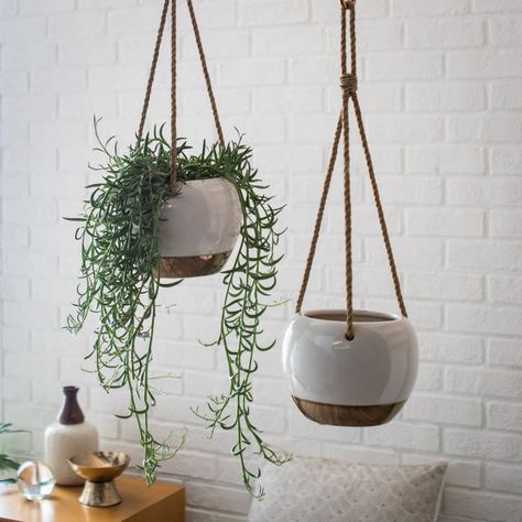 Decoration Front Porch, Front Porch Seating, Porch Inspiration, Porch Accessories, Hanging Plants Indoor, Porch Christmas Decor, Macrame Plant Holder, Porch Flooring, Front Porch Christmas