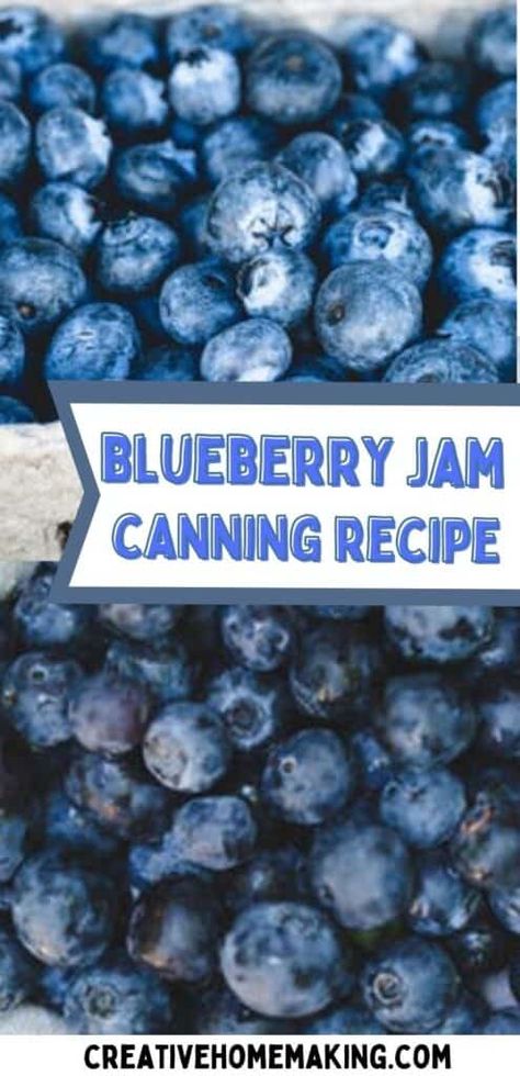 Blueberry Recipes Canning, Blueberry Butter Recipe, Blueberry Syrup Recipe, Blueberry Jelly, Blueberry Jam Recipe, Canning Jam Recipes, Strawberry Rhubarb Jam, Easy Canning, Canned Blueberries