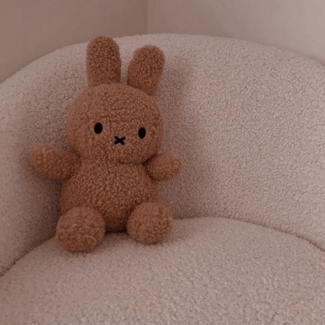 Brown Miffy, Miffy Plush, Aesthetic Doll, Brown Curls, Icon Ideas, Bunny Pictures, Acrylic Nails Coffin Pink, Acrylic Nails Coffin, Beige Aesthetic