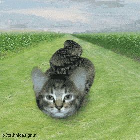 Snat Snake Animation, Snake Gif, Funny Snake, Animal Hybrids, Animation Pictures, Weird Gif, Animated Wallpapers For Mobile, Kitten Gif, Beautiful Gif