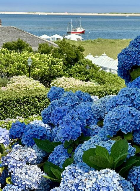 Cape Cod Photography Page | The inlet at North Beach on the Atlantic from Chatham Bars Inn. | Facebook Old Cape Cod, Cape Cod Photography, Chatham Bars Inn, Chatham Cape Cod, Grad Trip, Dream Beach House, New England Road Trip, Dream Beach Houses, Dream Beach