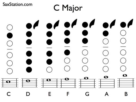 Saxophone fingering chart for C Major scale from middle C to upper B Alto Saxophone Major Scales, Alto Saxophone Fingering Chart, Saxophone Notes, Saxophone Fingering Chart, Band Puns, C Major Scale, Alto Sax Sheet Music, Sax Sheet Music, Alto Saxophone Sheet Music