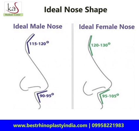 Ideal Nose Shape for Male or Female Ideal Nose, Male Nose, Nose Plastic Surgery, Nose Surgery Rhinoplasty, Nose Jobs, Facial Procedure, Rhinoplasty Nose Jobs, Nose Reshaping, Rhinoplasty Surgery