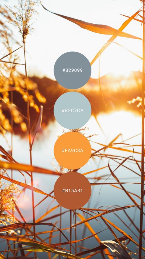 Blue Yellow Terracotta Color Palette, Bright Rustic Color Palette, Colour Palette Inspiration Blue, Gold Blue Color Palette, Cornflower Blue Color Palette, Blue Autumn Color Palette, Lake Color Palette, Orange And Blue Color Palette, Outdoor Color Palette