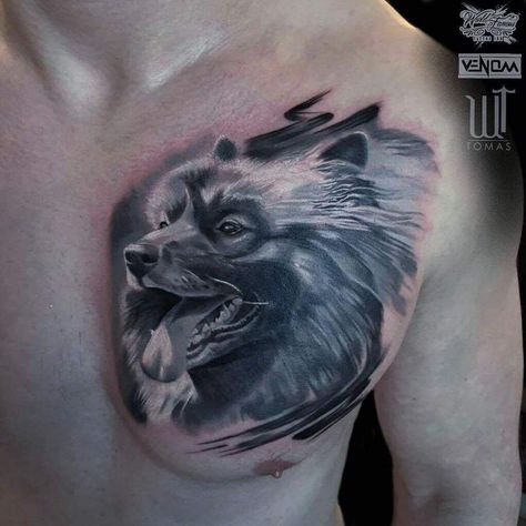 Imagine Keeshond ,,my Dog and first tattoo Keeshond Tattoo, More Tattoo, Tattoo Love, First Tattoo, My Dog, Tattoo Ideas, Fashion Beauty, I Want, Tattoos