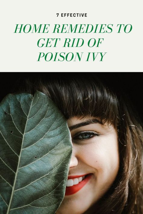 Here are 7 home remedies to get rid of poison ivy. Apply the mixture on your skin and cover with a shirt before showering, then wash off after 20 minutes or so; repeat this process twice per week for best results! Remedies For Poison Ivy, Poison Ivy 2, Poison Ivy Remedies, Poison Ivy Rash, Skin Care Home Remedies, Skincare For Oily Skin, Poison Ivy, Skin Problems, Oily Skin