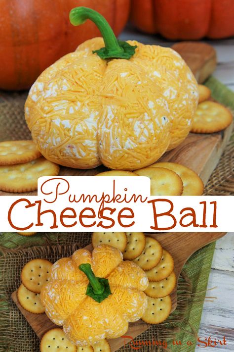 Pumpkin Cheese Ball recipe for fall, Thanksgiving or Halloween. An easy ranch cheeseball with instructions on how to make a pumpkin shape. It's easy, fun, and such a fun addition to a charcuterie board or appetizer spread. This adorable pumpkin shaped cheeseball will be the hit of your party! Pumpkin Cheese Ball Recipe, Ranch Cheeseball, Pumpkin Cheese Ball, Homemade Ranch Seasoning, Cheese Ball Recipe, Fall Appetizers, Cheese Pumpkin, Charcuterie Inspiration, Cheese Ball Recipes