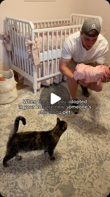 Emma Waters on Instagram: "I am really thankful 😭😿 #cats #catsandbaby #ftm #catparents #dad #mom #catfamily Inspo @mommaandmeow" Mom Cat And Kitten, Baby Kitten Videos, Cats And Babies, Cat Meeting, Kitten Gif, Baby Kittens, Cat Family, Animal Pics, Amazing Animals