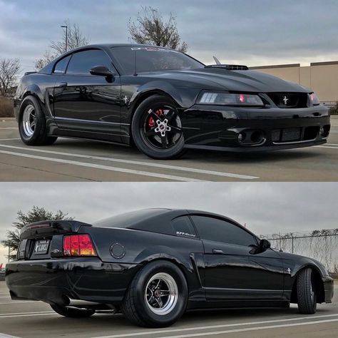 Looks alot like my mustang🤔 1999 Mustang Gt, 2003 Ford Mustang Gt, Black Mustang Gt, 2003 Mustang, New Edge Mustang, 2002 Ford Mustang, Saleen Mustang, Tattoos Celebrities, 2000 Ford Mustang