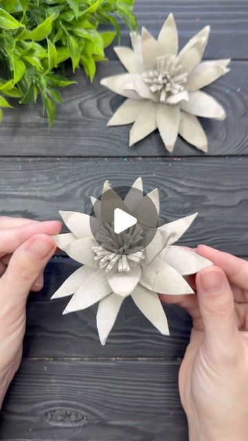 Origami Studio DIY 💥 Paper Craft Tutorials 🇺🇦🇨🇦 on Instagram: "Egg Tray DIY Tutorial Easy Idea from Egg Carton Box #craft #tutorial #foryou #easycraft" Egg Tray Craft Diy, Egg Tray Diy, Just Be Friends, Box Craft, Egg Tray, Studio Diy, Tray Diy, Paper Craft Tutorials, Egg Carton