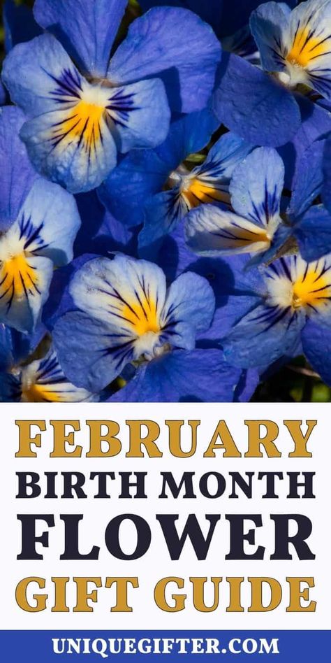 Best Birth Month Flower Gift Ideas for February | February Flower Gifts | Birth Month Gifts | Flower Gift Ideas #FebruaryFlowerGiftIdeas #FebruaryBirthdays #BestFlowerGifts #FebruaryFlowers Superhero Gift Ideas, Flower For February, February Flower, Superhero Gifts, Care Package Ideas, Flower Gift Ideas, February Birthday, Christmas Weddings, Package Ideas