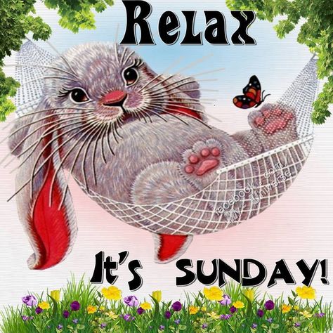 Relaxing Sunday sunday its sunday beautiful sunday quotes sunday images Its Sunday, Happy Sunday Images, Relax Quotes, Happy Sunday Morning, Sunday Pictures, Sunday Greetings, Relaxing Sunday, Sunday Photos, Sunday Images