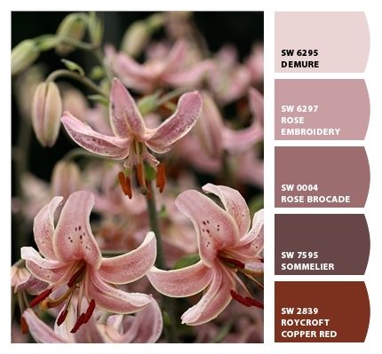 Sherwin Williams Rose Brocade, Rose Brocade Sherwin Williams, Rose Aesthetic, Sherwin Williams Paint Colors, Rosé Aesthetic, Beautiful Houses, Copper Red, Old Rose, Rose Embroidery