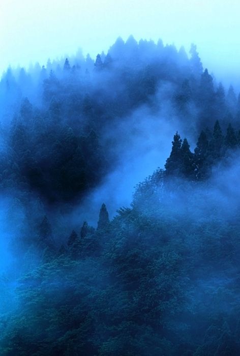 Nature - Natur Blue Forest, Feeling Blue, Love Blue, Blue Mountain, True Blue, Blue Aesthetic, Blue Hues, Land Scape, Beautiful World