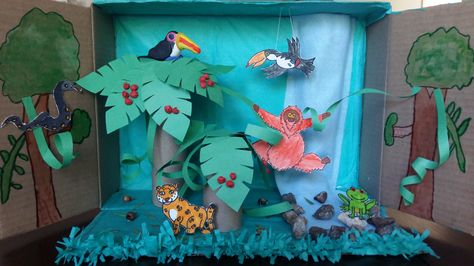 1st Grade Toucan diorama with rain forest set-up #diorama #toucan #rainforest Forest Diorama Ideas, Rainforest Facts For Kids, Ecosystems Diorama, Shoe Box Diorama, Forest Diorama, Rainforest Project, Rainforest Biome, Diorama Kids, Habitats Projects