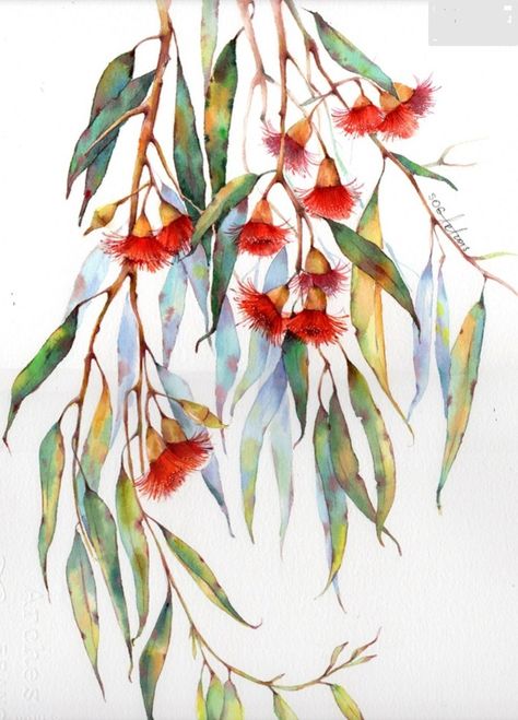 Australian Native Flowers Watercolour, Eucalyptus Watercolor, Gum Leaves, Watercolour Ideas, Ways To Heal, Gum Tree, Australian Flowers, Tree Flowers, Australian Native Flowers