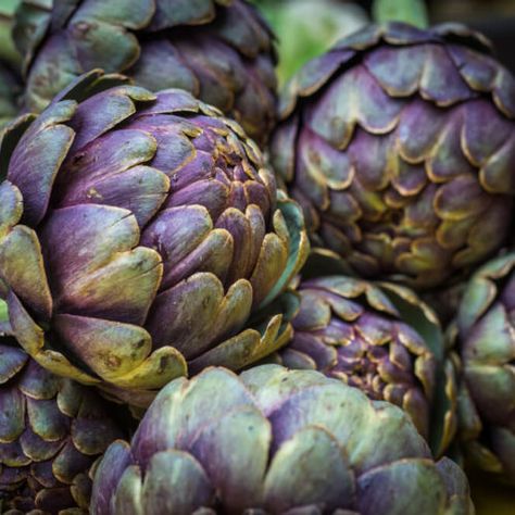 Growing Artichokes, Liver Cleansing Foods, Thyroid Recipes, Detoxifying Food, Artichoke Extract, Immune Boosting Smoothie, Growing Vegetables In Pots, Metabolism Boosting Foods, Easy Vegetables To Grow