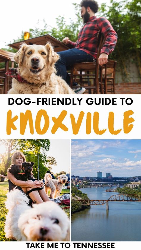 Things To Do In Knoxville, Gatlinburg Tennessee Vacation, Tennessee Travel, Tennessee Vacation, Adventure Travel Explore, Gatlinburg Tennessee, Gatlinburg Tn, Tri Cities, Johnson City