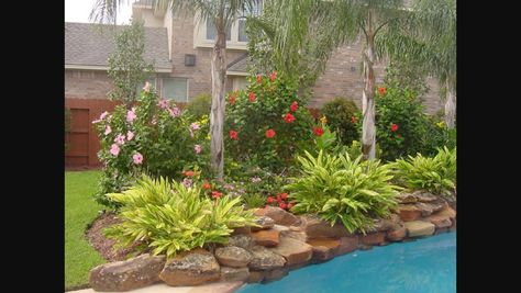 Houston Landscaping, Landscaping Around Pool, Backyard Pool Design, Pool Plants, Tattoo Plant, Backyard Layout, Landscaping Trees, Pool Landscape, Pool Landscape Design