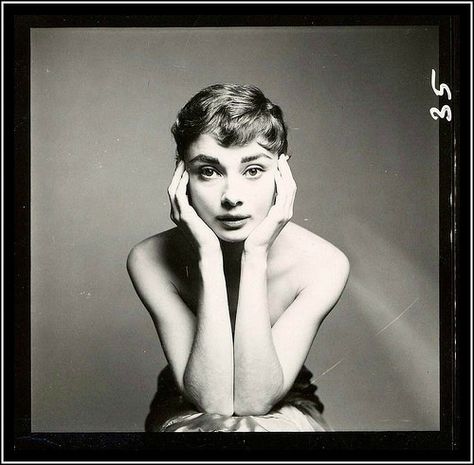 Audrey Hepburn, photo by Richard Avedon, December 18, 1953 Richard Avedon Photography, Audrey Hepburn Outfit, Aubrey Hepburn, Audrey Hepburn Photos, Audrey Hepburn Style, Hepburn Style, Richard Avedon, Shooting Photo, Sophia Loren